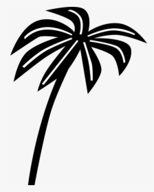 Vector Illustration Of Tropical Or Subtropical Palm, HD Png Download, Free Download