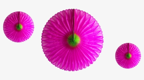 Circle, HD Png Download, Free Download