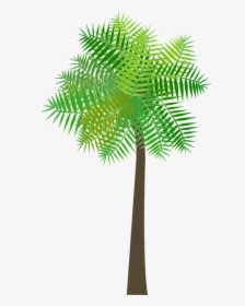 Graphic, Palm Tree, Palm, Tree, Sea, Beach, Summer - 背景 透過 ヤシ の 木, HD Png Download, Free Download