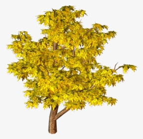Yellow Fall Tree Png Clipart - Png Autumn Tree Transparent, Png Download, Free Download