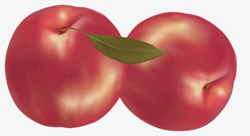Peaches - Peach, HD Png Download, Free Download