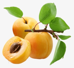 Three Peaches - Apricots Png, Transparent Png, Free Download