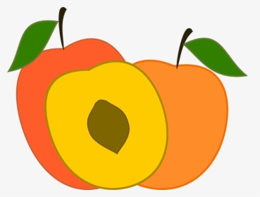 Peach, Peaches, Fruit, Sweet, Fruit Season, Healthy - Peach Transparent Vector, HD Png Download, Free Download