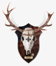Deer Skull Png, Transparent Png, Free Download