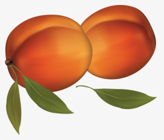 Peaches Png Image - Peaches Clipart Transparent Background, Png Download, Free Download