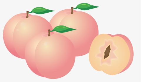 Plant,apple,peach - Peach Clip Art, HD Png Download, Free Download