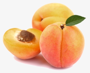 Apricot Png, Transparent Png, Free Download