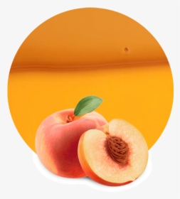 Peach, HD Png Download, Free Download