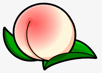 Peach, Clip Art, Prunus, Peaches, Illustrations, Pictures - 白桃 イラスト フリー, HD Png Download, Free Download