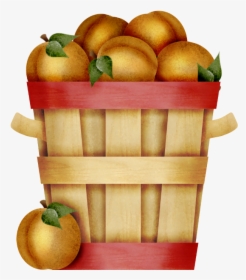 Peaches Clipart Basket Peach - Bushel Of Peaches Clipart, HD Png Download, Free Download