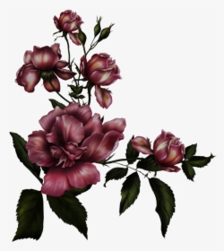 Rose Png Images Transparent Free Download - Transparent Background Gothic Roses, Png Download, Free Download