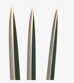#freetoedit #awesome #cool #wolverine #claws - X Man Blade Png, Transparent Png, Free Download