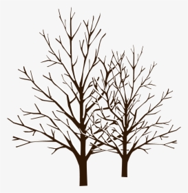 Snow Winter Tree - Winter Tree Vector Png, Transparent Png, Free Download