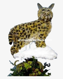 Bobcat Png, Transparent Png, Free Download