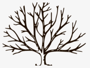 Transparent Branch Clipart Black And White - Fall Tree Clipart, HD Png Download, Free Download