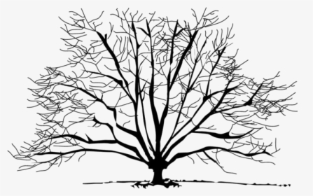 Bare Tree Png Transparent Images - Winter Trees Clipart, Png Download, Free Download