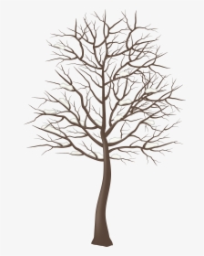 Transparent Winter Trees Clipart - Tree Clipart Transparent Background, HD Png Download, Free Download