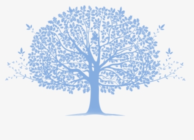 Family Tree Png - Blue Family Tree Png, Transparent Png, Free Download