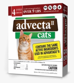 Advecta For Cats, HD Png Download, Free Download