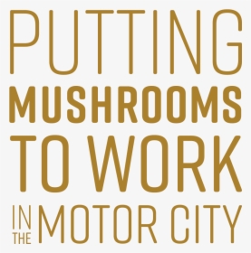Tmf Putting Mushrooms To Work Yellow Xl - Beige, HD Png Download, Free Download