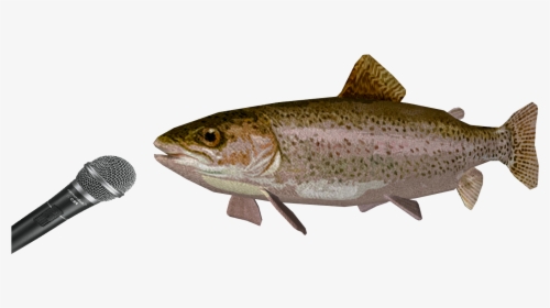 Trout Png, Transparent Png, Free Download
