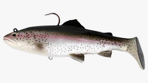 Brown Trout Rainbow Trout 3d Modeling Fishing - Savage Gear 3d Trout, HD Png Download, Free Download