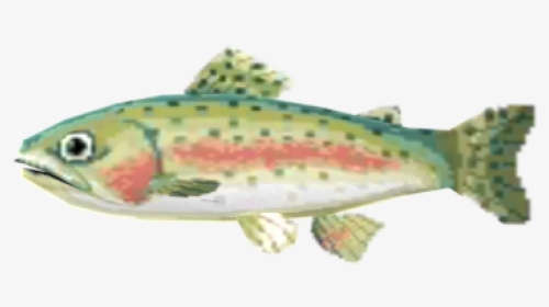 Download Zip Archive - Trout, HD Png Download, Free Download