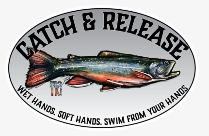 Catch And Release - Trout, HD Png Download, Free Download
