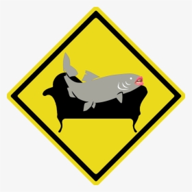 Hawttrout, HD Png Download, Free Download