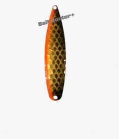 Brown Trout, HD Png Download, Free Download