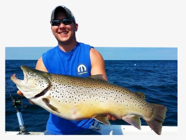 Image - Brown Trout Salmon River Ny, HD Png Download, Free Download