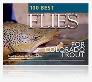 Trout, HD Png Download, Free Download