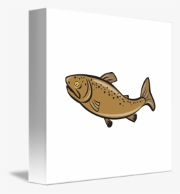 Clip Art Brown Fish Side By - Brown Trout Cartoon, HD Png Download, Free Download