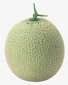 Download And Use Melon Png Image - Melon Png, Transparent Png, Free Download