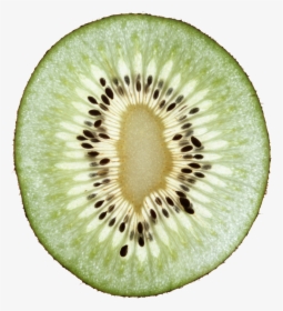 Kiwi Png, Transparent Png, Free Download