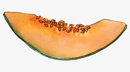 Cantaloupe June2018 Lyndsay - Honeydew, HD Png Download, Free Download