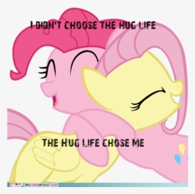 Dion"t Choose The Hug Life The Hug Life Chose Me Mylittle - Rainbow Dash And Fluttershy, HD Png Download, Free Download