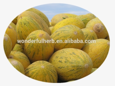Melon, HD Png Download, Free Download
