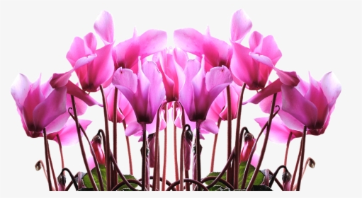Tulip Stencil Free 25, - Quotes Happy Mothers Day 2018, HD Png Download, Free Download