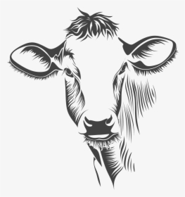 Cow Face Line Art, HD Png Download, Free Download