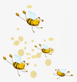 Transparent Honey Bee Png, Png Download, Free Download