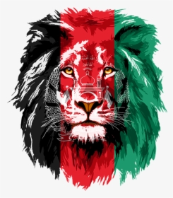 Lion, Iran, Tajikistan, Afghanistan, India, Khujand - Free Vector Lions Face, HD Png Download, Free Download