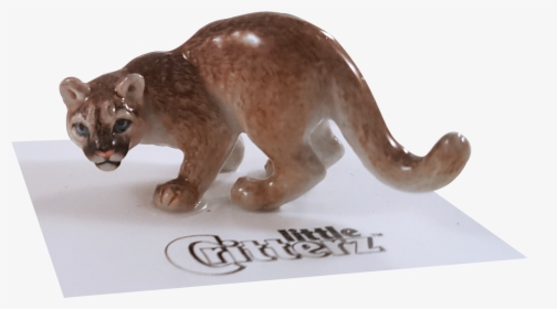Mountain Lion Png, Transparent Png, Free Download