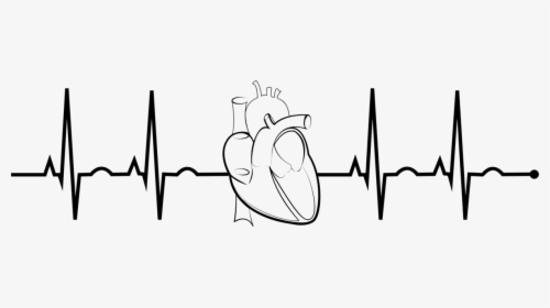 Transparent Heart Rate Png - Ekg Clip Art, Png Download, Free Download