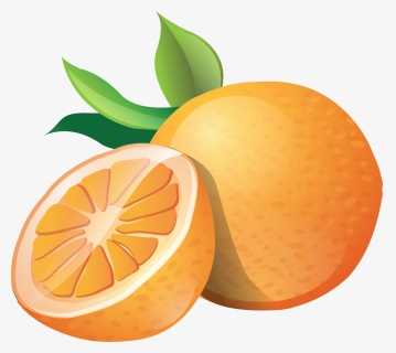 Oranges Clipart Gummy Bear - Orange Clipart, HD Png Download, Free Download