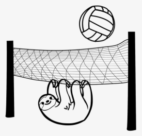 Sloth, Volleyball, Game, Sport, Animal, Net, Ball - Water Polo Ball Png, Transparent Png, Free Download