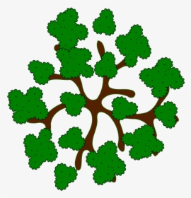 tree top view png images free transparent tree top view download kindpng tree top view png images free
