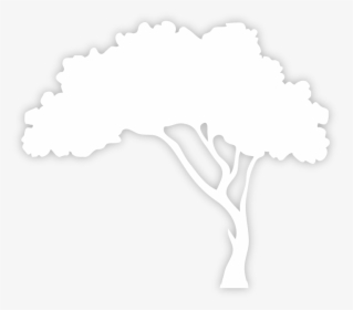 Transparent White Tree Png - Silhouette White Tree Png, Png Download, Free Download