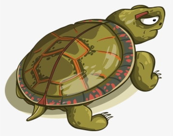 Tortoise, Shell, Amphibious, Reptile, Animal - Turtle Kick Vector, HD Png Download, Free Download