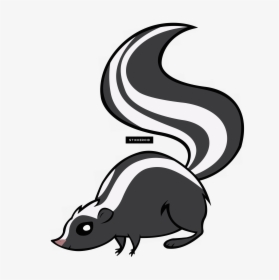 Striped Skunk,tail,skunk - Skunk Clipart Png, Transparent Png, Free Download
